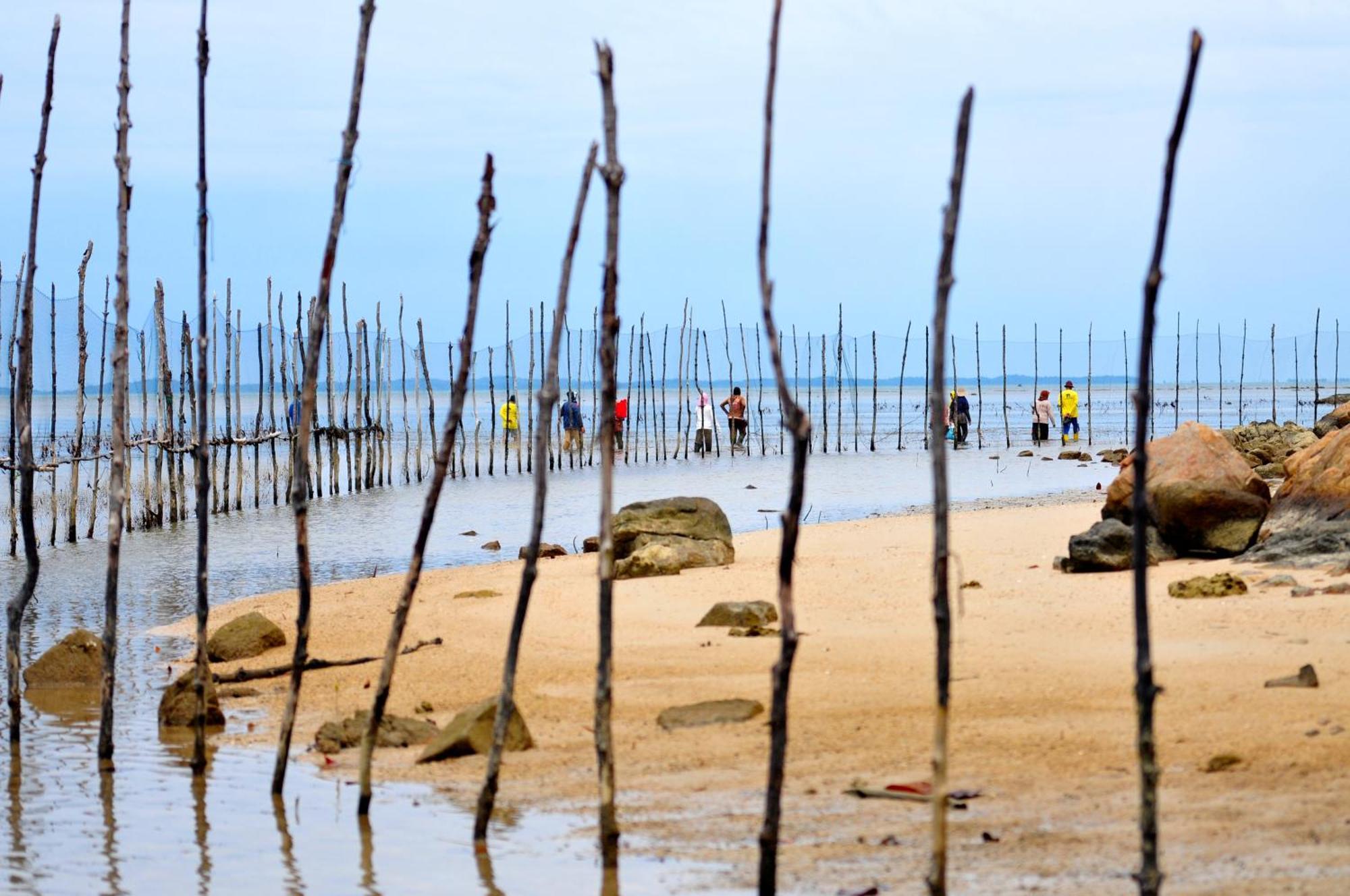 Loola Adventure Resort Teluk Bakau Zewnętrze zdjęcie